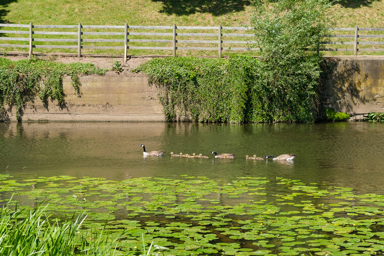 UK May '22 - The Castle (Warwick) 049.jpg